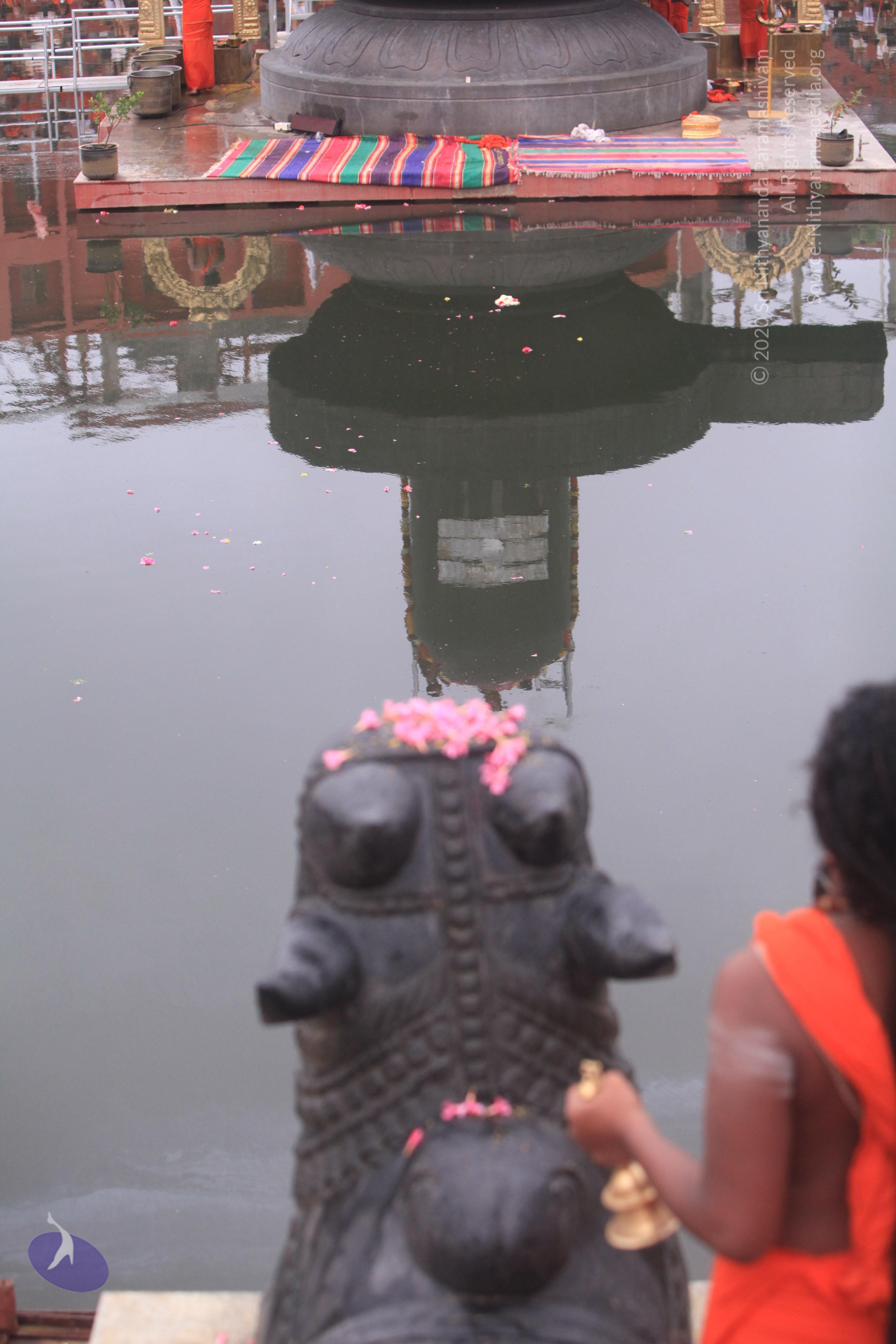 20170529_Photo_1000_IMG_8904_CMP_WM